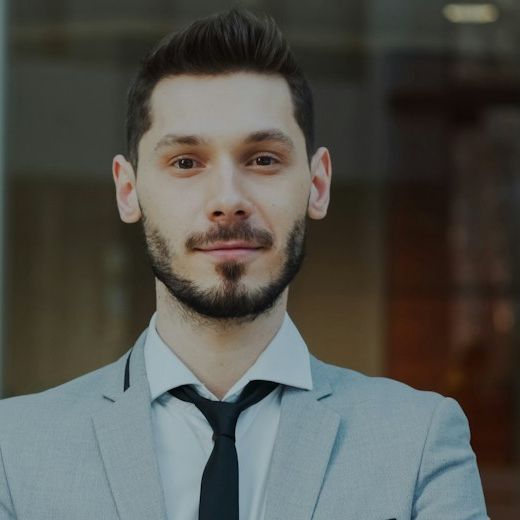 Portrait of a systems integrator